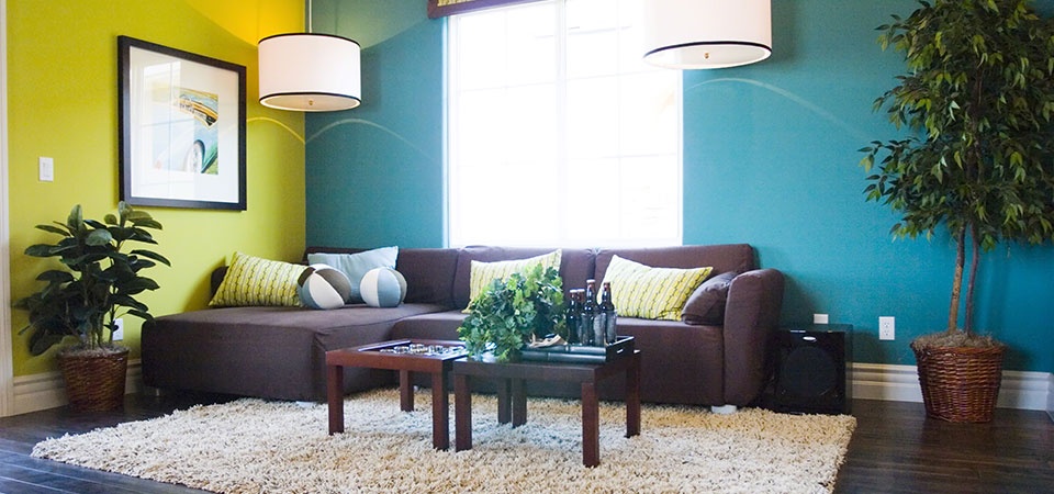 Modern living room with colourful walls